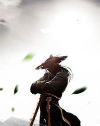 [假面骑士剑 无限光